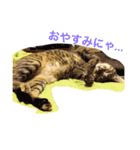 uchinoko's stamp（個別スタンプ：13）