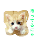 uchinoko's stamp（個別スタンプ：14）