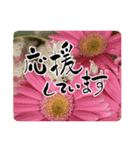 言葉と共に花を贈りたい（個別スタンプ：4）