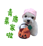 Small meat bag＆mocha mischief diary vol2（個別スタンプ：24）