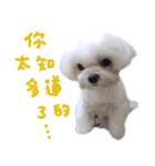 Small meat bag＆mocha mischief diary vol2（個別スタンプ：34）