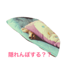 ちょこたんの日常（個別スタンプ：2）