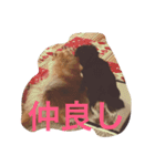 ちょこたんの日常（個別スタンプ：3）