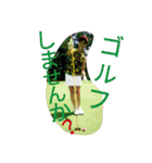 ka-ko（個別スタンプ：23）