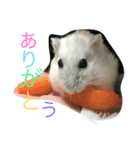 8686kirara（個別スタンプ：5）