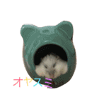 8686kirara（個別スタンプ：6）