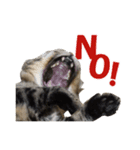 わが家の猫。（個別スタンプ：2）