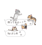 【よしお】猫だらけの吹き出し（個別スタンプ：15）