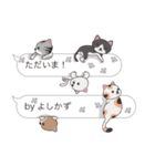 【よしかず】猫だらけの吹き出し（個別スタンプ：23）