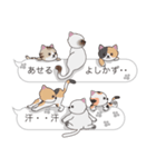 【よしかず】猫だらけの吹き出し（個別スタンプ：36）