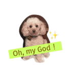 My dear pets（個別スタンプ：2）