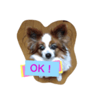 My dear pets（個別スタンプ：8）