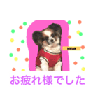 yuki BaBa（個別スタンプ：7）