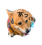 ロコちゃんです（個別スタンプ：28）