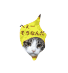 kojiro-（個別スタンプ：2）
