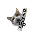kojiro-（個別スタンプ：7）