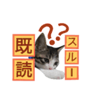kojiro-（個別スタンプ：16）