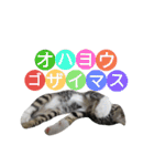 kojiro-（個別スタンプ：34）