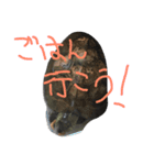 我が家のカメちゃん。第3弾（個別スタンプ：16）