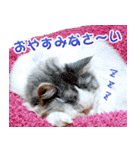 まい＆ぴっか☆愛スタンプ（個別スタンプ：8）