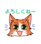 まい＆ぴっか☆愛スタンプ（個別スタンプ：13）