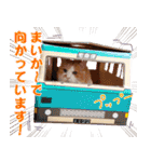 まい＆ぴっか☆愛スタンプ（個別スタンプ：17）