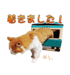 まい＆ぴっか☆愛スタンプ（個別スタンプ：18）