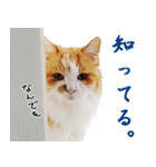 まい＆ぴっか☆愛スタンプ（個別スタンプ：28）