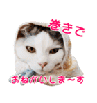 まい＆ぴっか☆愛スタンプ（個別スタンプ：31）