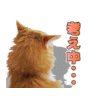 まい＆ぴっか☆愛スタンプ（個別スタンプ：34）