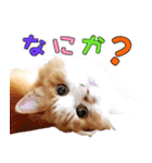 まい＆ぴっか☆愛スタンプ（個別スタンプ：35）