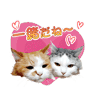 まい＆ぴっか☆愛スタンプ（個別スタンプ：36）