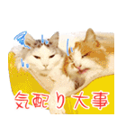 まい＆ぴっか☆愛スタンプ（個別スタンプ：37）