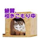 まい＆ぴっか☆愛スタンプ（個別スタンプ：38）