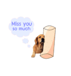 Goldie＆Snow（個別スタンプ：14）