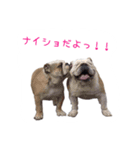 ぶるぶる日和3（個別スタンプ：2）