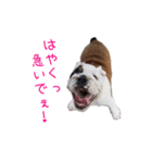 ぶるぶる日和3（個別スタンプ：3）