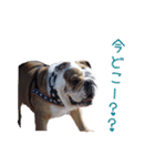 ぶるぶる日和3（個別スタンプ：5）