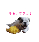 ぶるぶる日和3（個別スタンプ：7）
