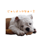 ぶるぶる日和3（個別スタンプ：8）