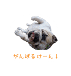 ぶるぶる日和3（個別スタンプ：11）