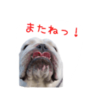 ぶるぶる日和3（個別スタンプ：13）