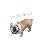 ぶるぶる日和3（個別スタンプ：14）