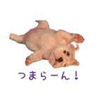 ぶるぶる日和3（個別スタンプ：15）