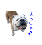 ぶるぶる日和3（個別スタンプ：16）