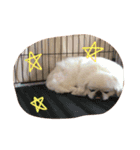高良家のみるちゃん！（個別スタンプ：4）