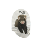 たいせつな家族（個別スタンプ：4）