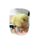 たいせつな家族（個別スタンプ：8）