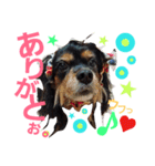 ラスアロ日記U^ェ^U with マロン♪（個別スタンプ：5）