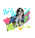 ラスアロ日記U^ェ^U with マロン♪（個別スタンプ：8）